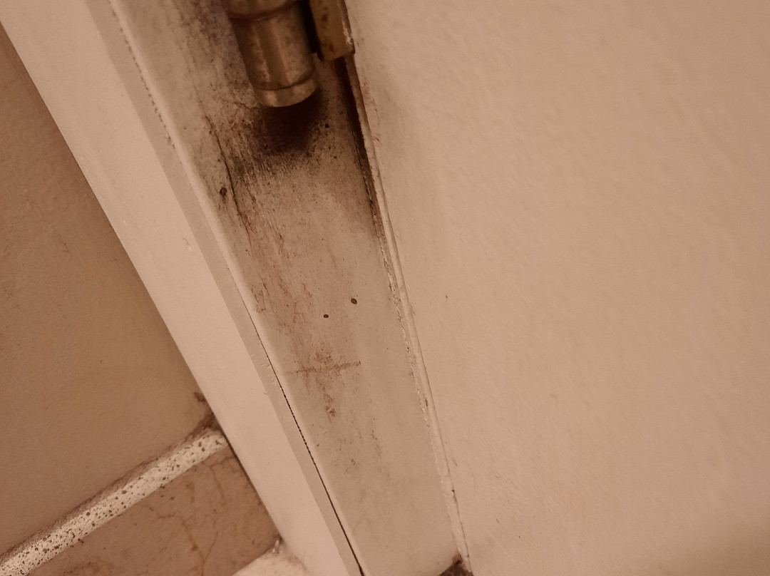 河岸阶地贝斯特韦斯特酒店主图