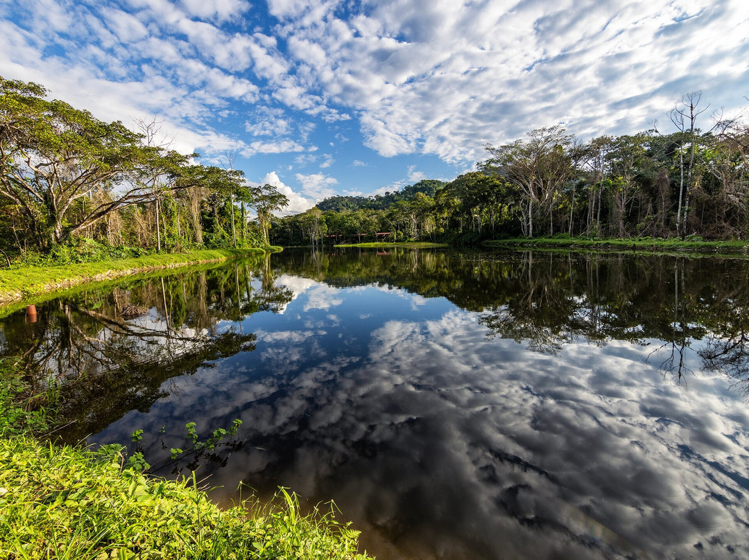 Manu Biolodge