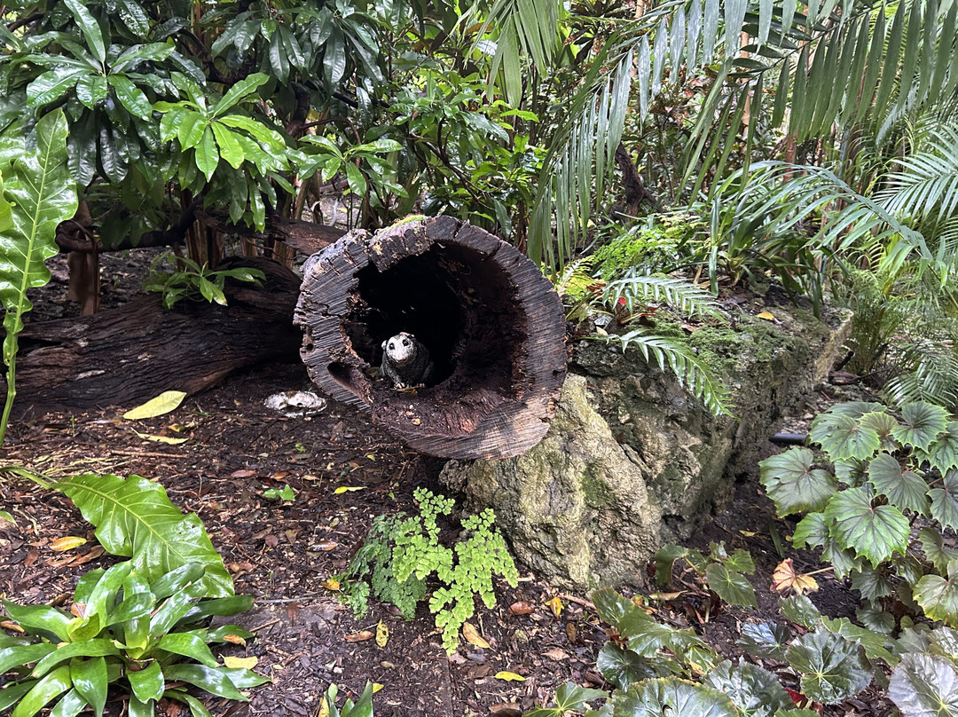 Pinecrest Gardens-Pinecrest必去景点