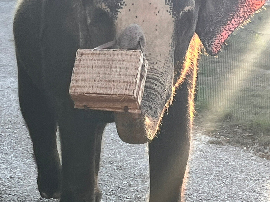 The Endangered Ark Foundation-Hugo必去景点