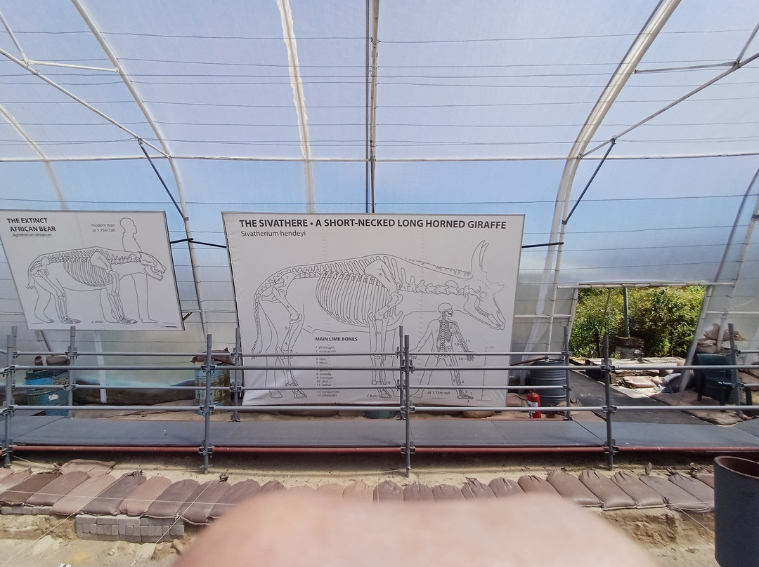 West Coast Fossil Park景点图片