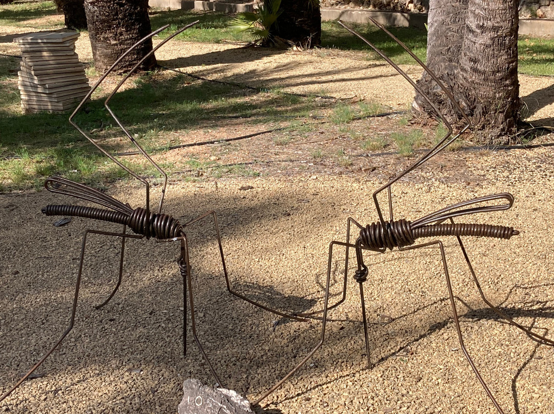 Klein Schreuder Sculpture Garden景点图片