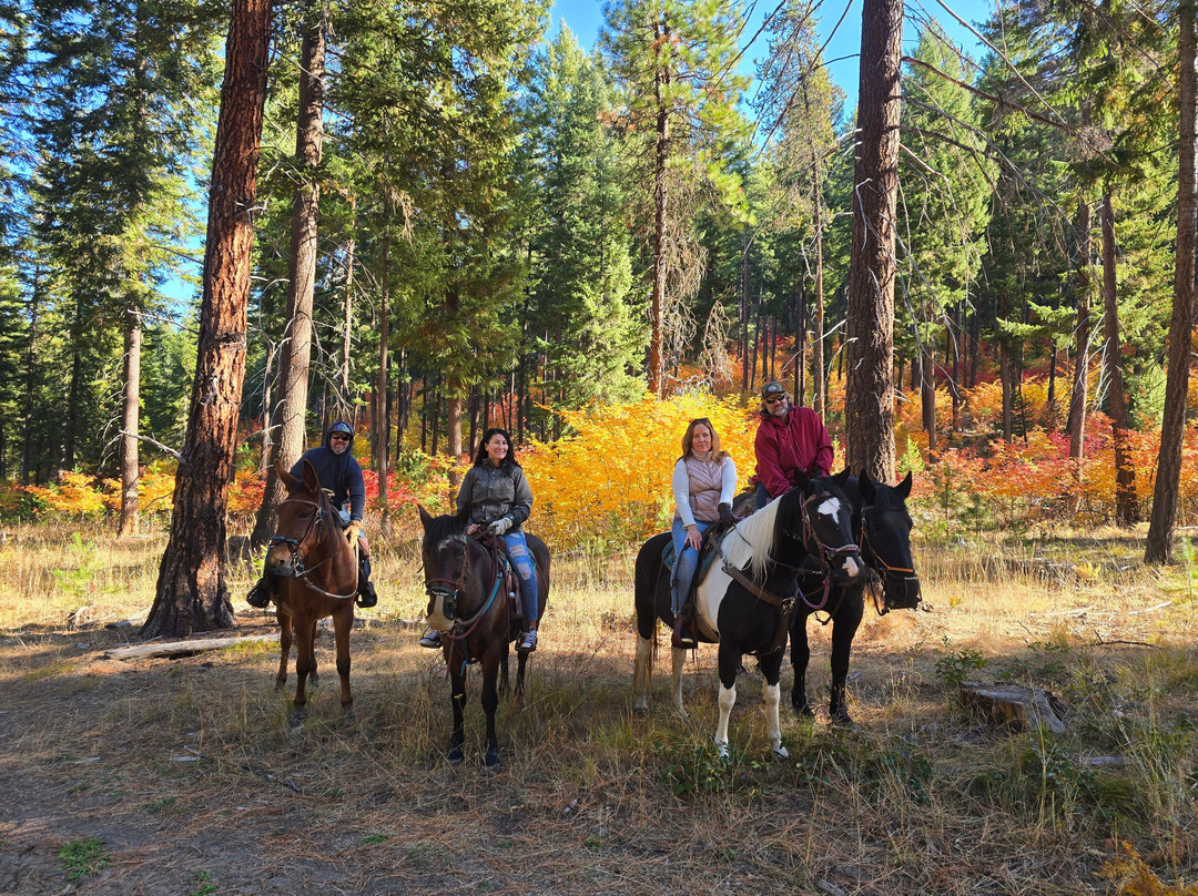 Wild At Heart Horse Rides景点图片