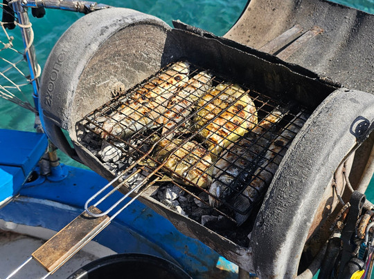 Skevos Fishing Trip Rhodes-罗德城必去景点