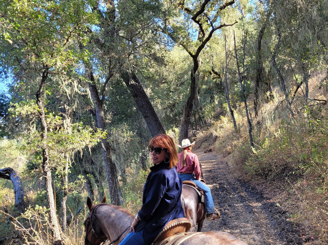 Central Coast Trailrides景点图片