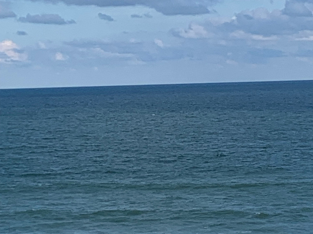 Best Western Cocoa Beach - Port Canaveral主图