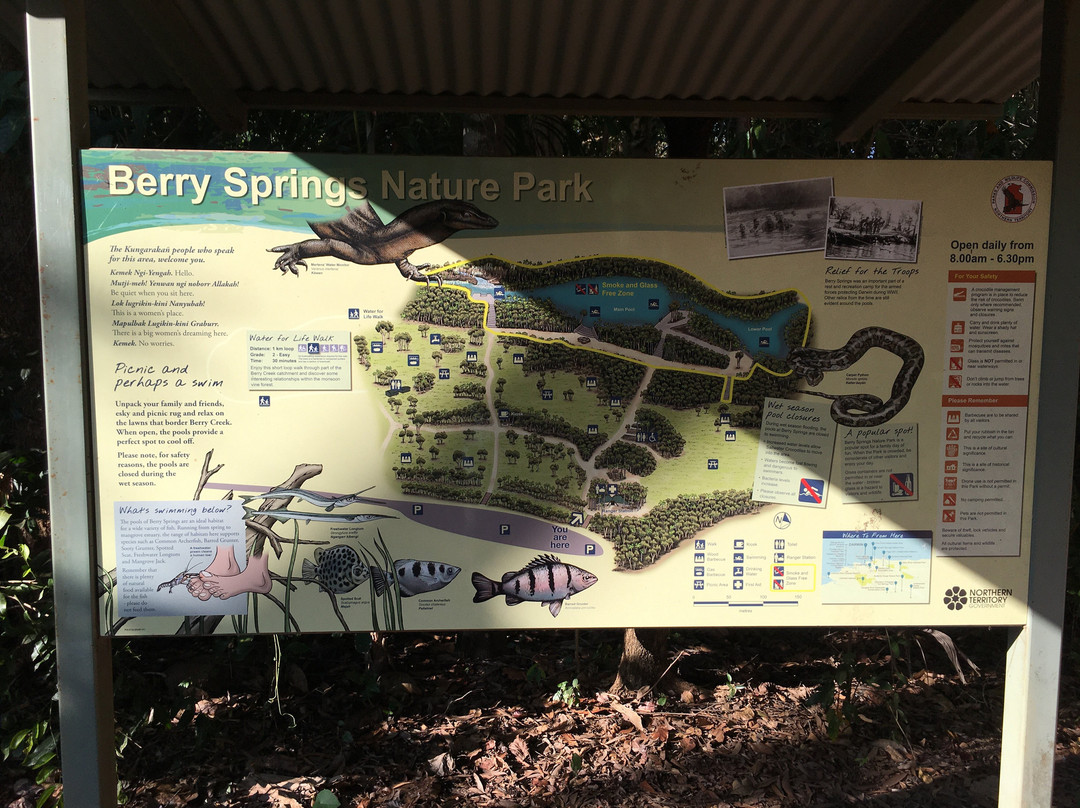 Berry Springs Nature Park-达尔文市必去景点