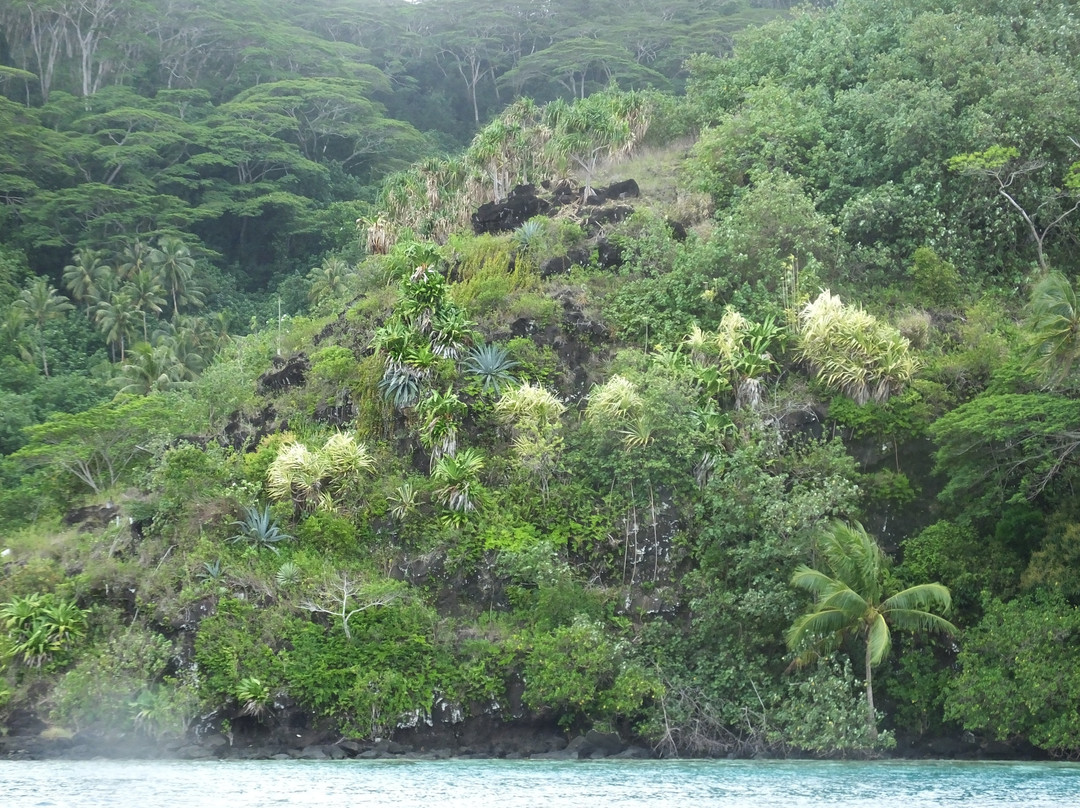 Huahine Nautique-Fare必去景点