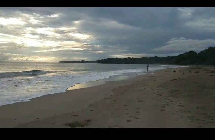 Playa Cocles景点图片