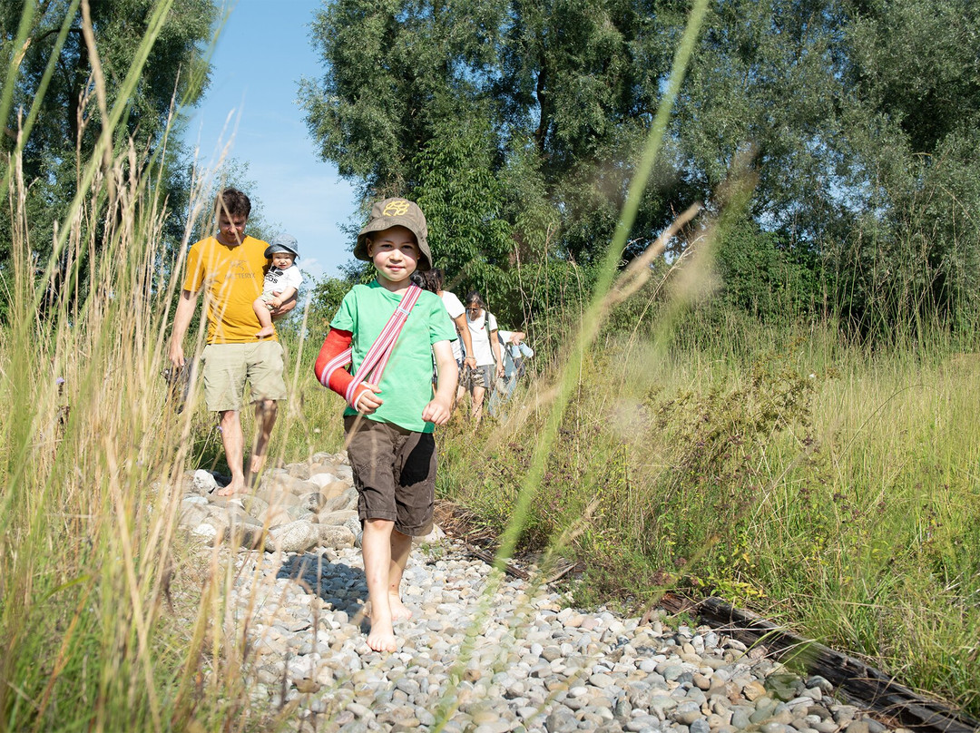 Naturstation Silberweide am Greifensee-Moenchaltdorf必去景点