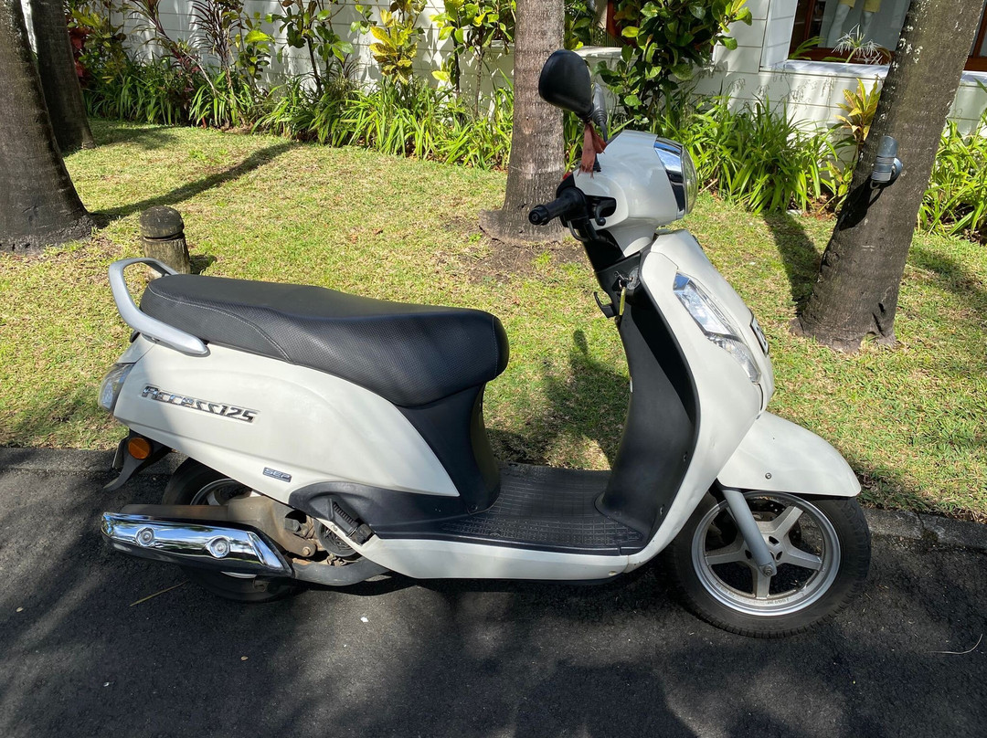 Tsp Scooter Rental-大湾必去景点