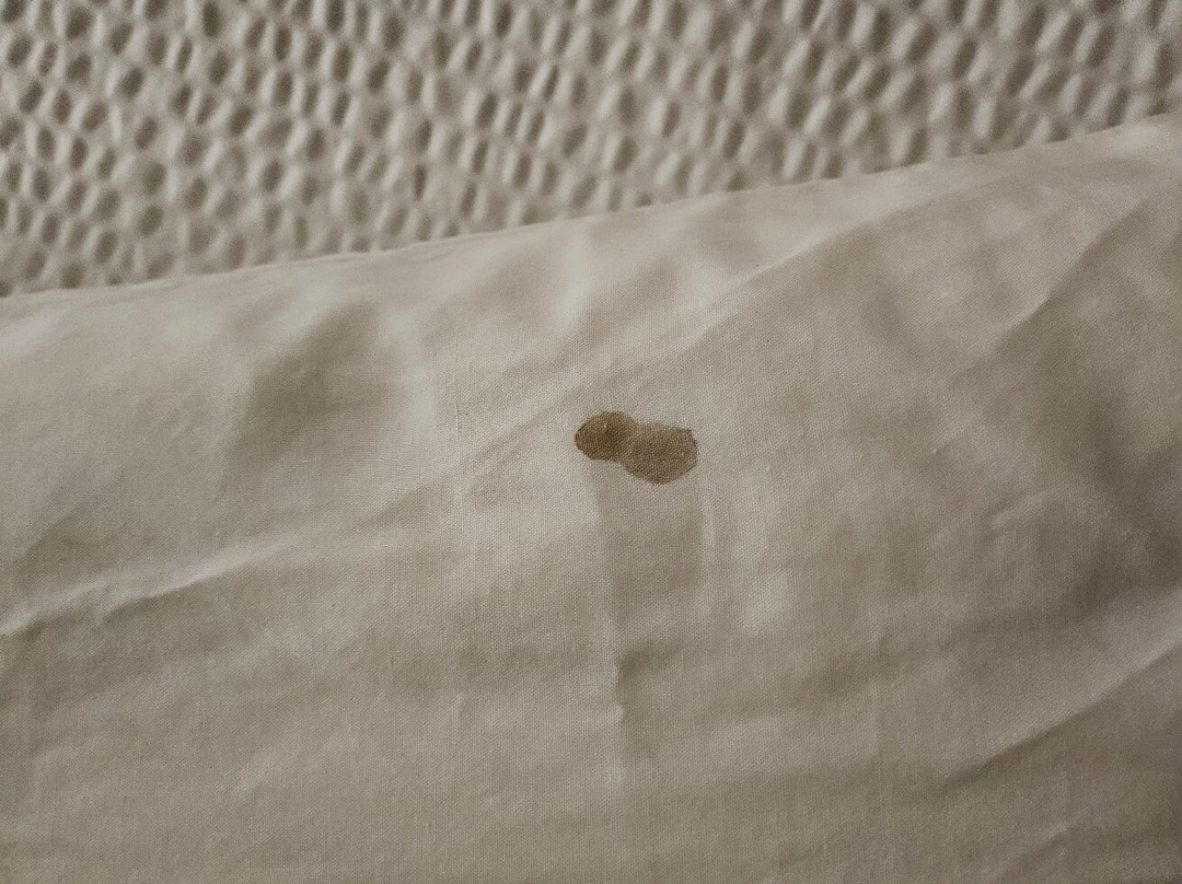 Philadelphia - Malvern - Great Valley主图