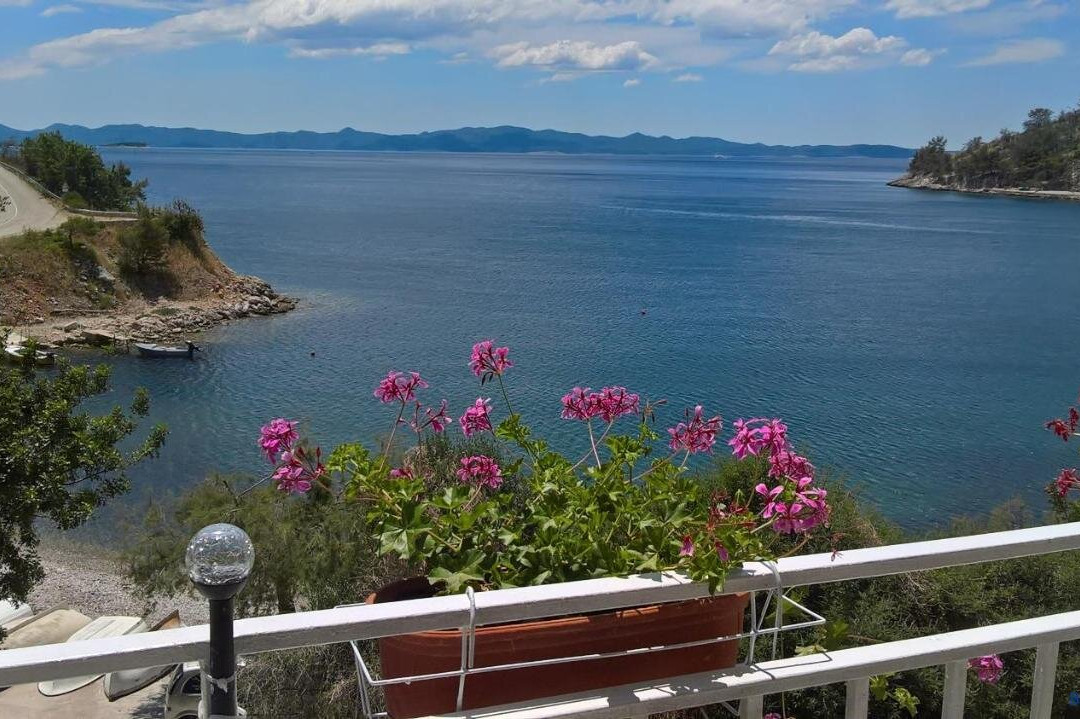Apartmani Kunjasic