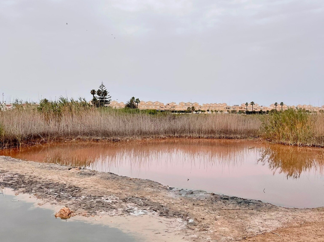 Laguna Salada de Torrevieja景点图片