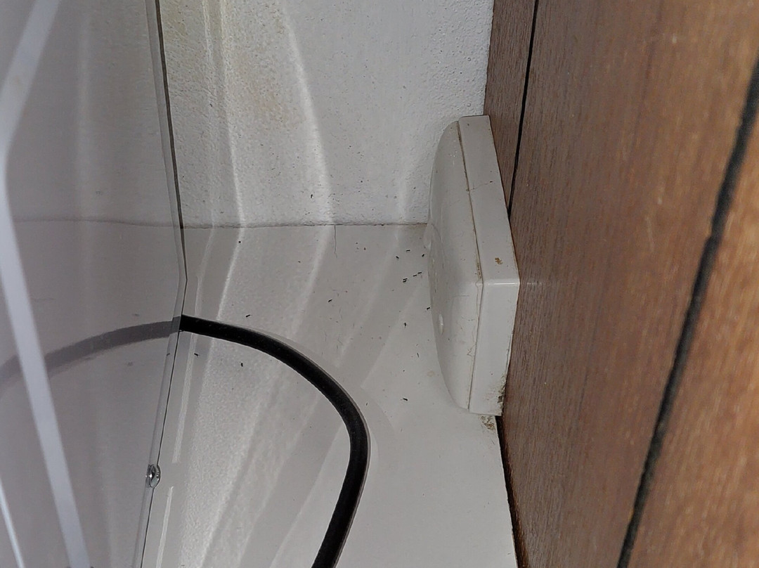 Boulevard Motor Inn主图