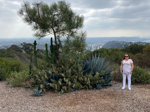 La Jolla Legendary Tours-拉荷亚必去景点