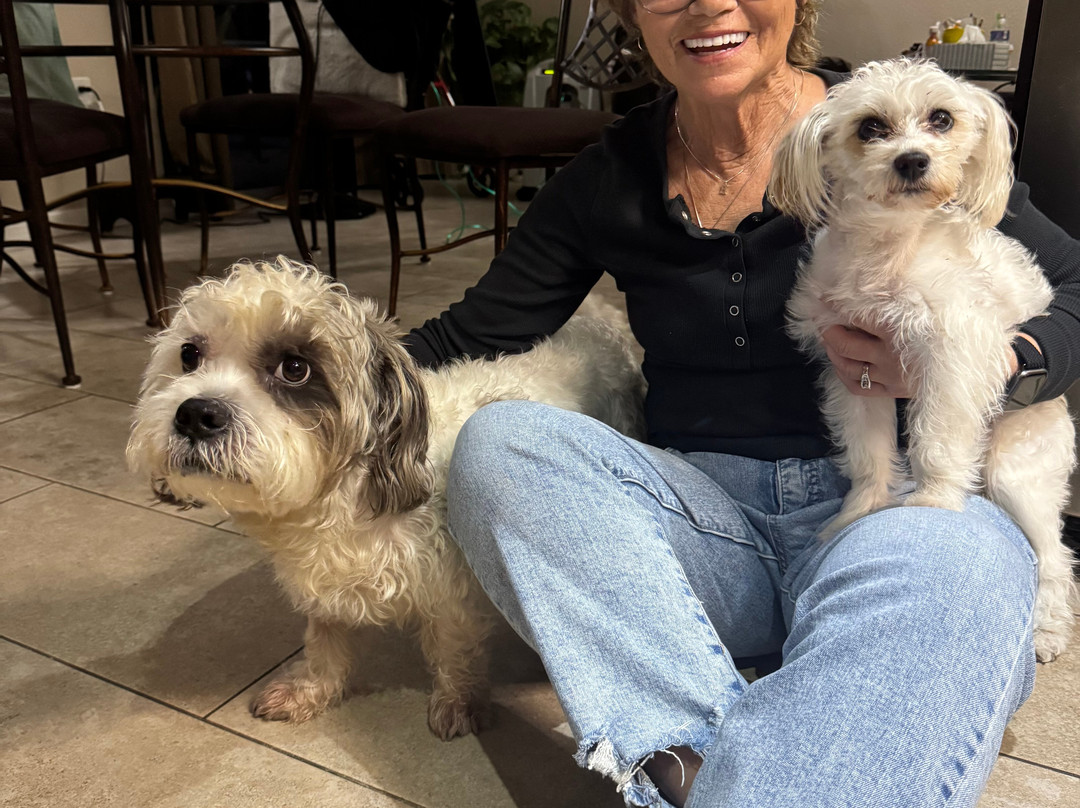 Antonia's Boutique & Gifts-塔彭斯普林斯必去景点