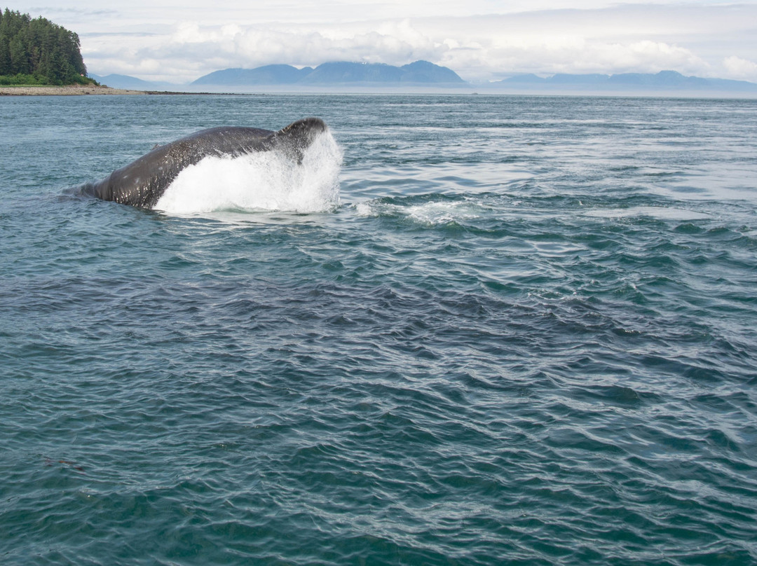 Hoonah Travel Adventures-胡纳必去景点