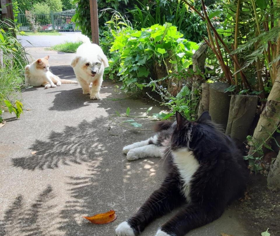 Hostal La Casa del Carpintero主图