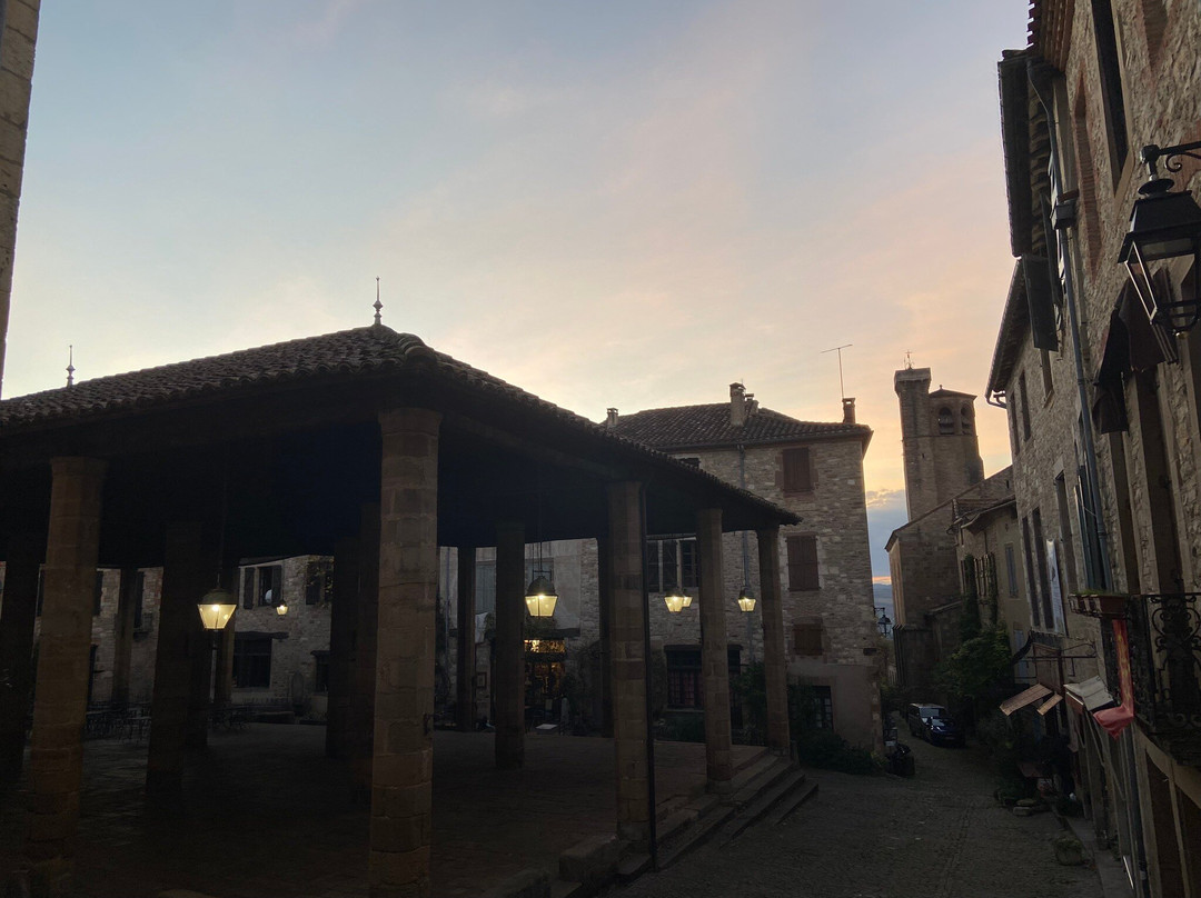 Halle de Cordes-sur-Ciel景点图片