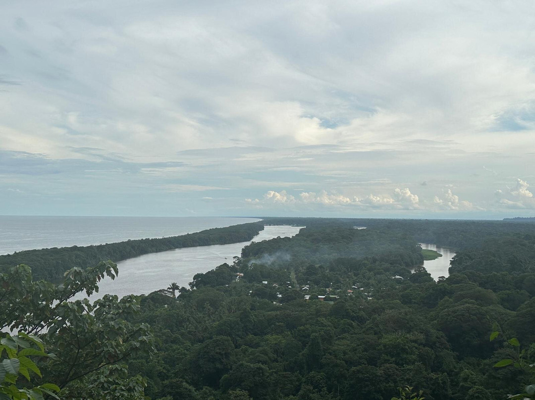 Hotel Serendipity Tortuguero主图