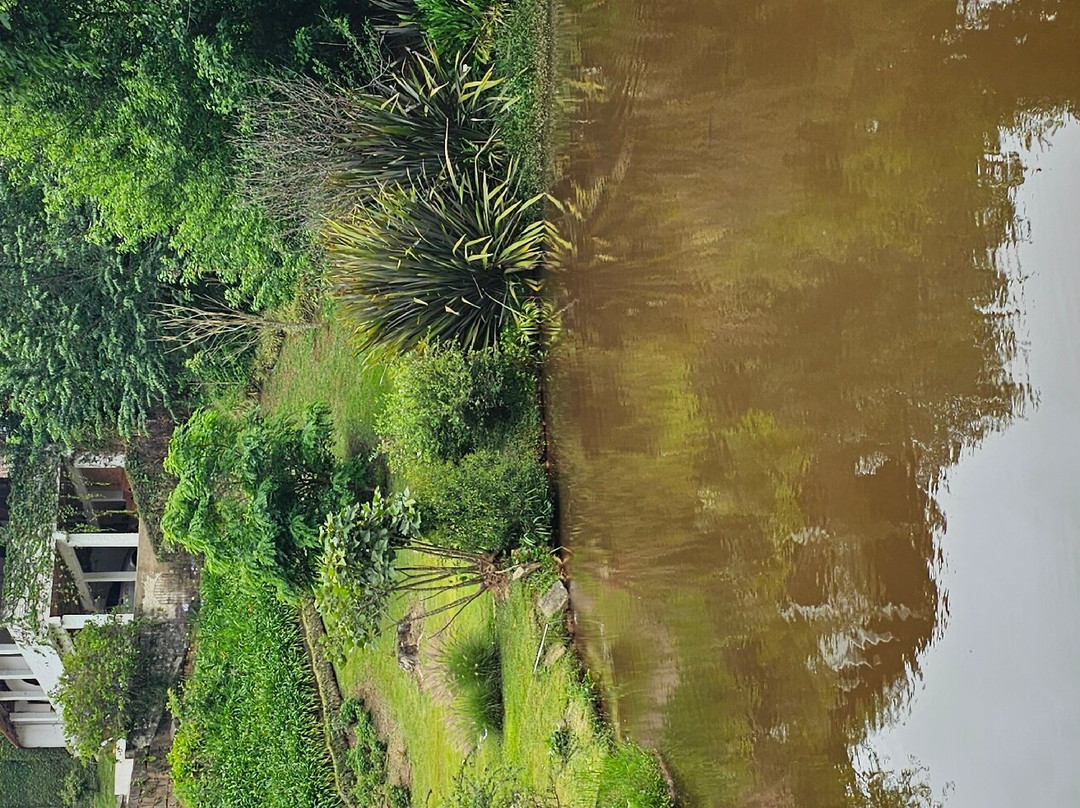 Estudio Domingos Totora-Maria da Fe必去景点