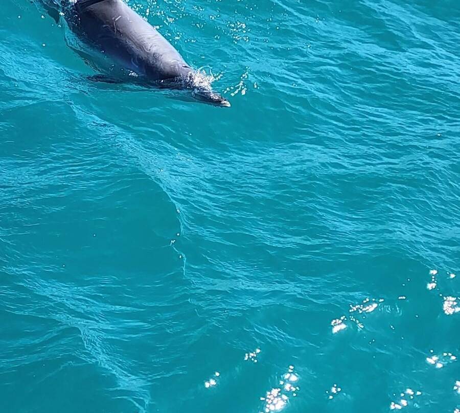 Kangaroo Island Trails景点图片