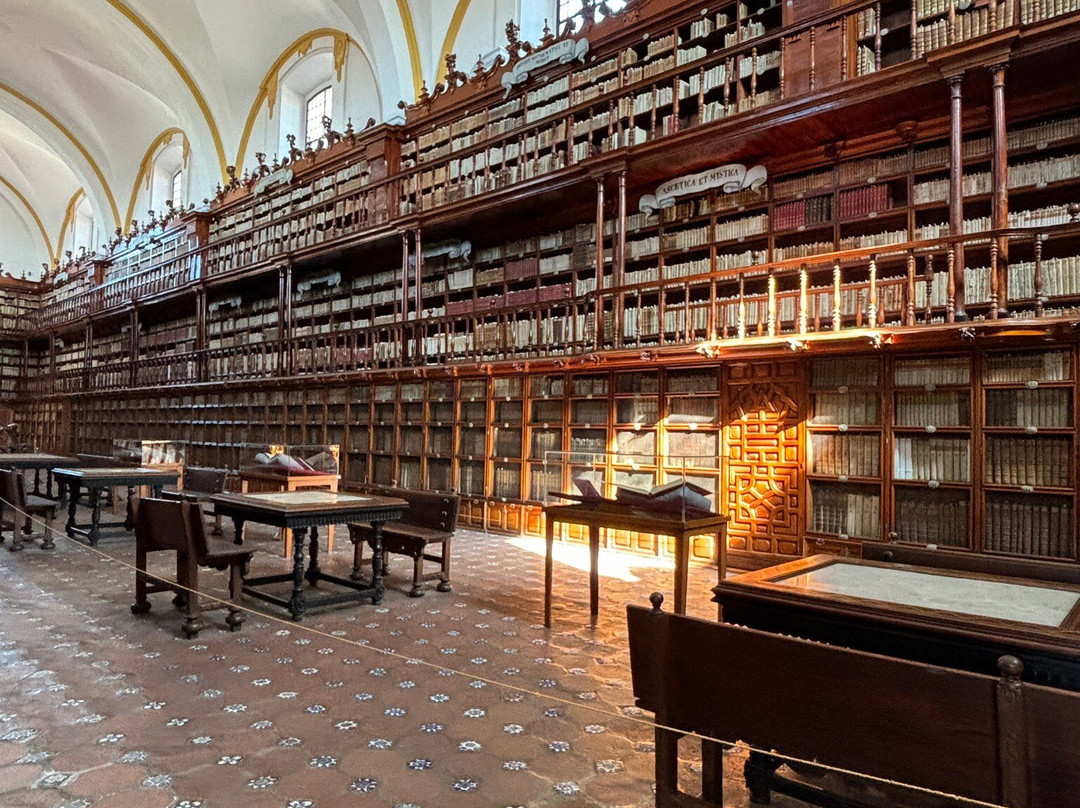 Biblioteca Palafoxiana-普埃布拉必去景点