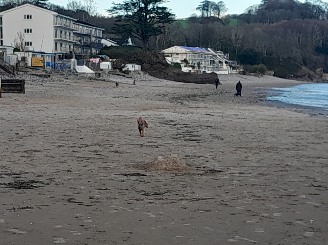 Saundersfoot Beach-桑德斯富特必去景点
