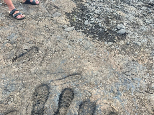 The Pitch Lake-La Brea必去景点
