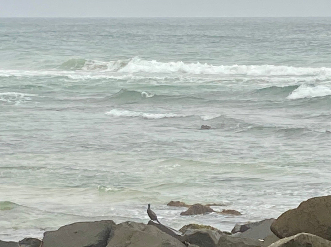 Angels beach & Flat Rock景点图片
