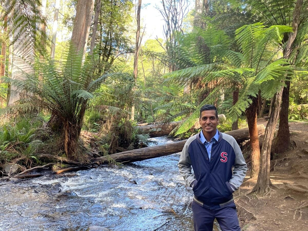 Redwood Forest-华伯登必去景点