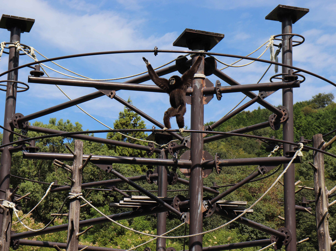 Noichi Zoological Park of Kochi Prefecture-香南市必去景点