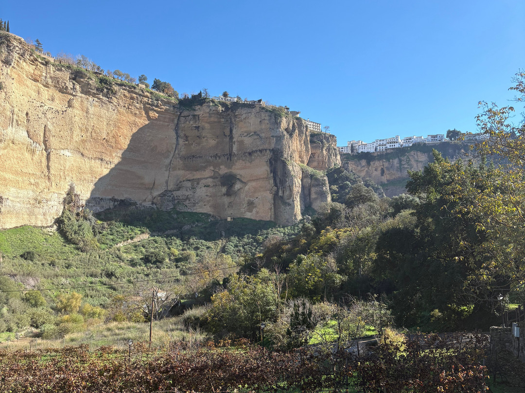 Bodega Gonzalo Beltran景点图片