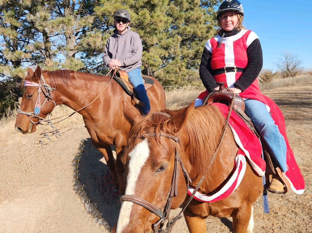 Christine's Horseback Riding-卡尼必去景点