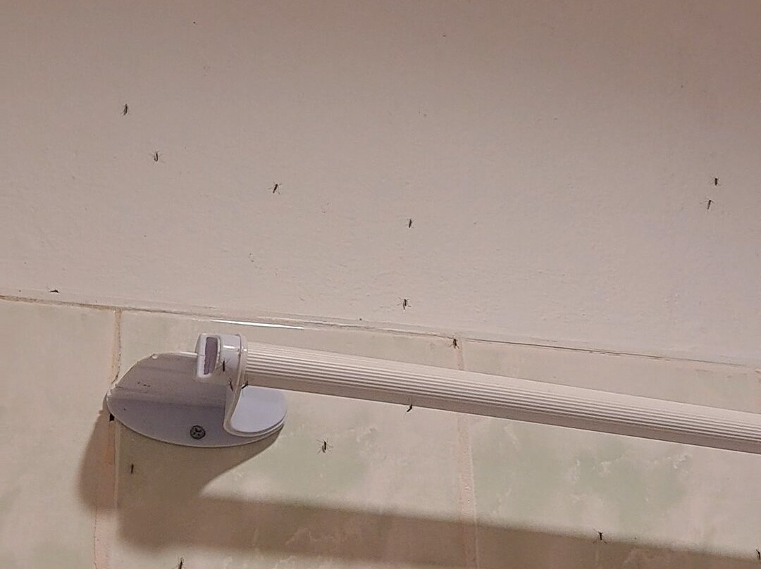 Panglao Grande Resort主图