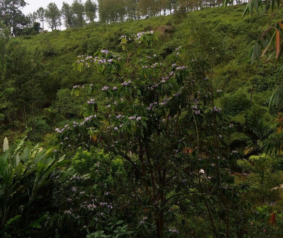 Royale Leisure Park-Thika必去景点