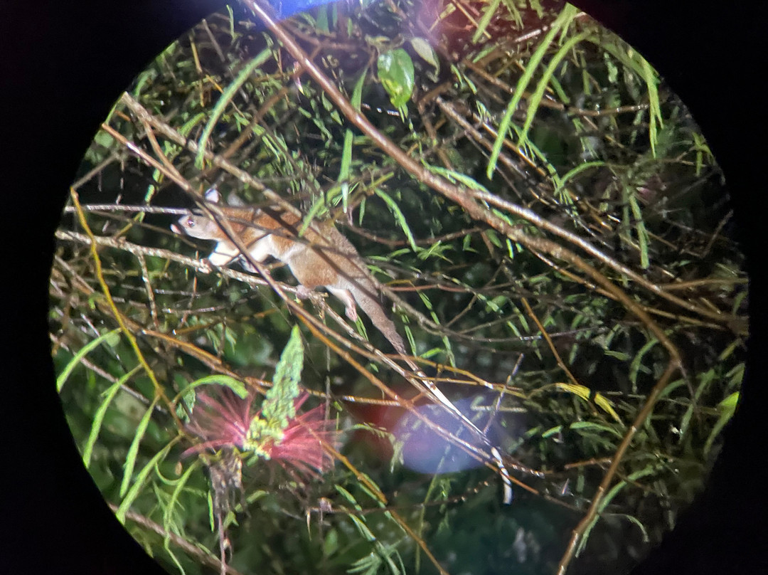 Tierra Madre Eco Lodge主图