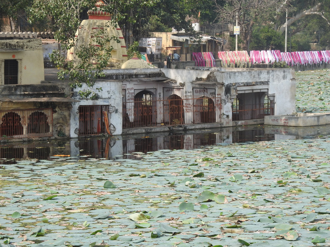 Sukh Niwas Mahal景点图片