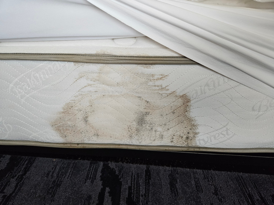 Fairfield Inn & Suites by Marriott Crestview主图