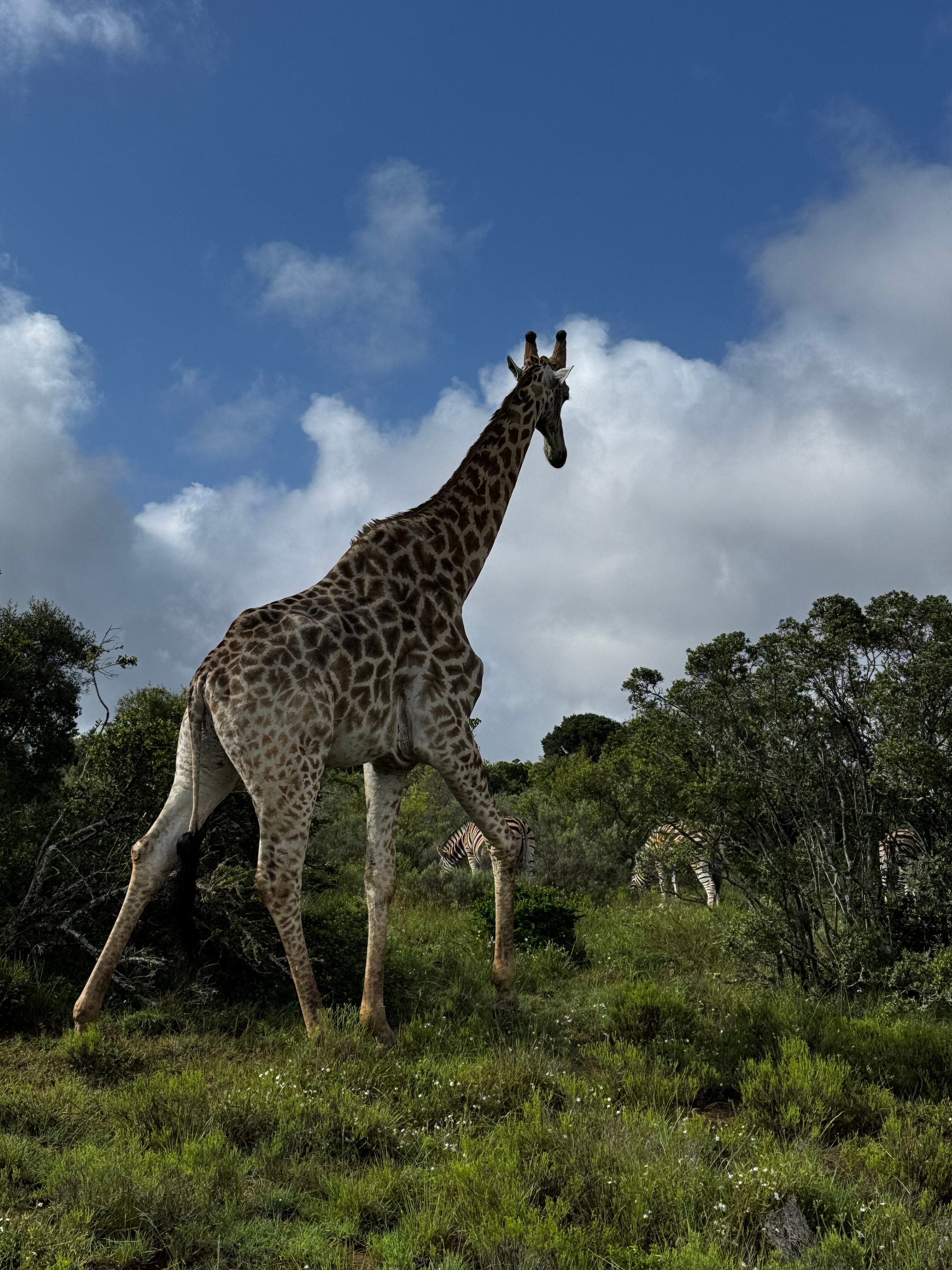 Pumba Private Game Reserve-浴室