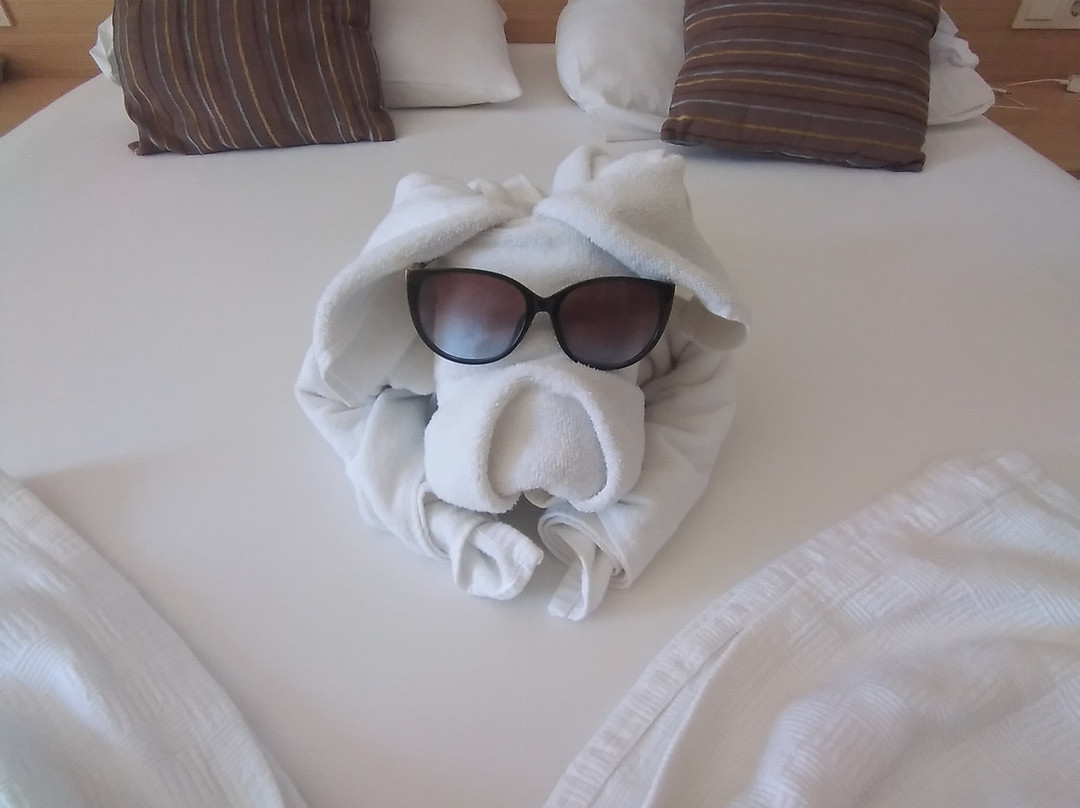 Telatiye Resort Hotel主图