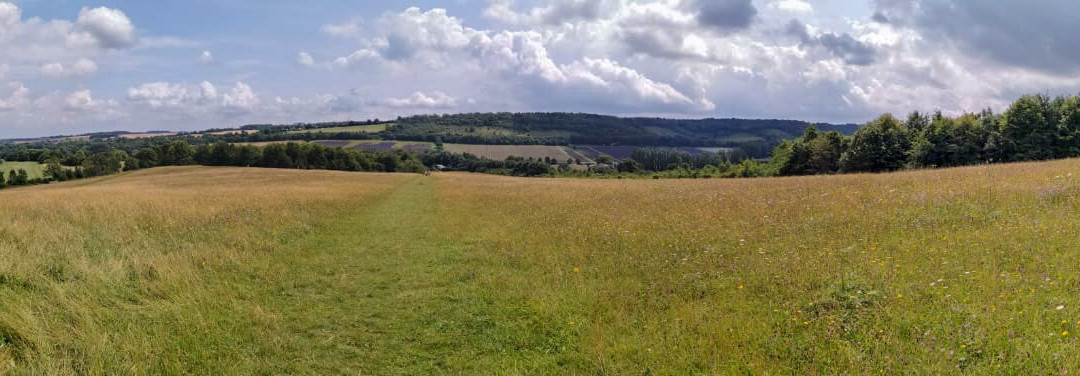 Lullingstone Country Park景点图片