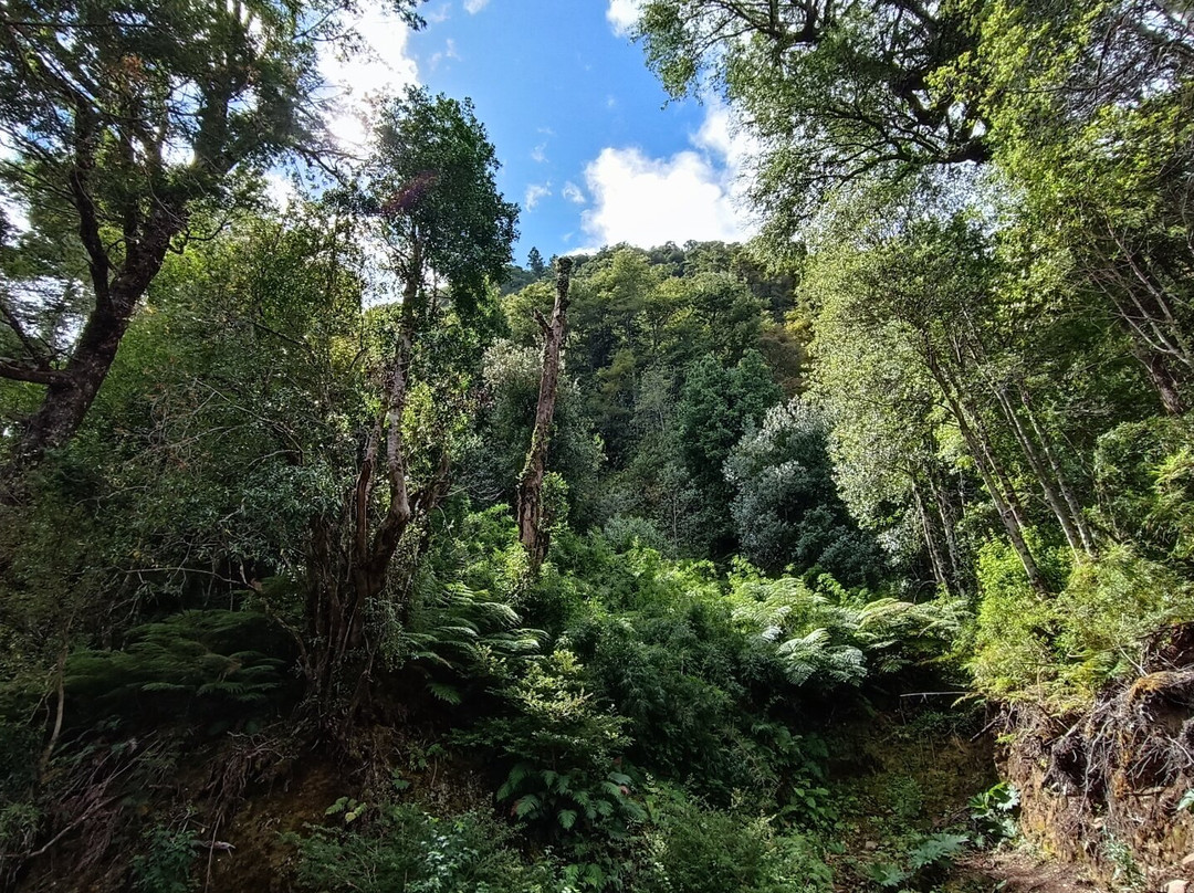 Bahia Acantilada-Puerto Aisen必去景点