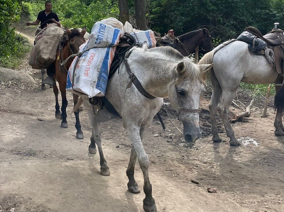 Parque Nacional Natural Tayrona-Puerto Colombia必去景点