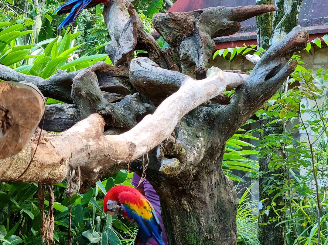 Aluxes Ecoparque-帕伦克必去景点