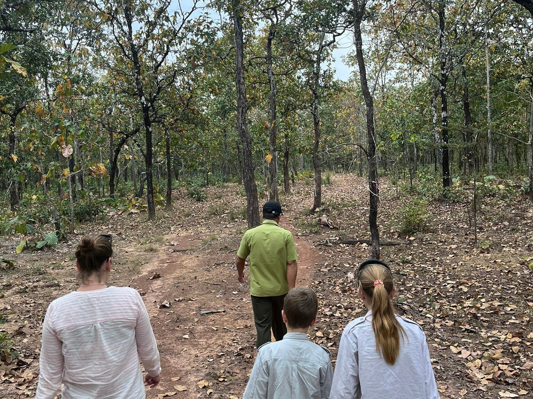 Yok Don National Park-Ea Huar必去景点