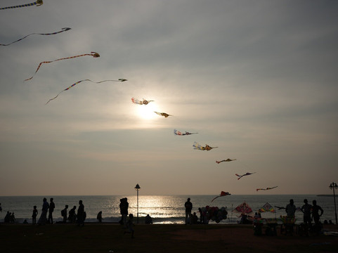 Ceylon Fun Tours-卡图纳耶克必去景点