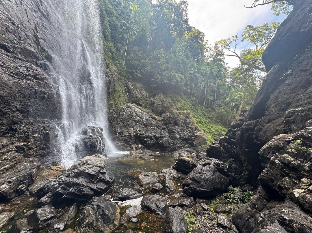 Red Cedar Falls Walk景点图片