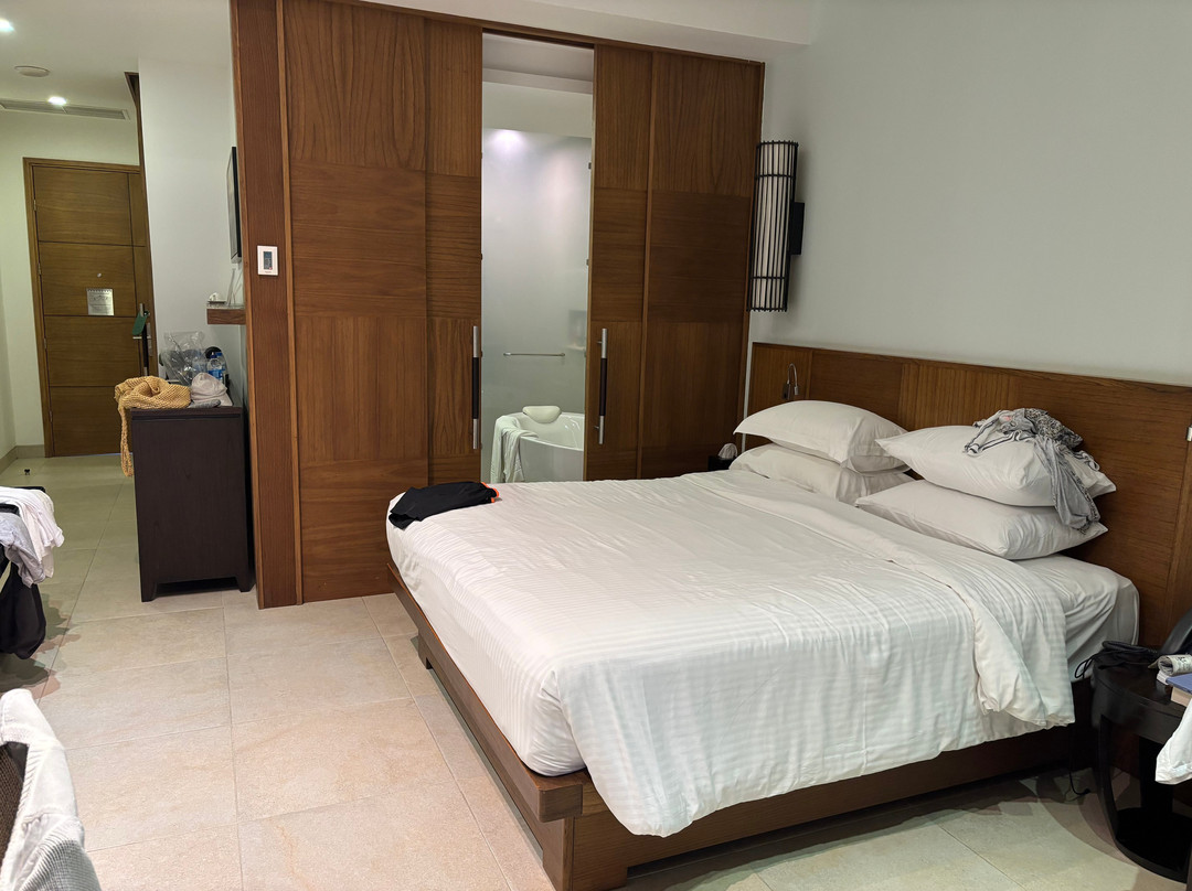 萨沃伊水疗度假村主图